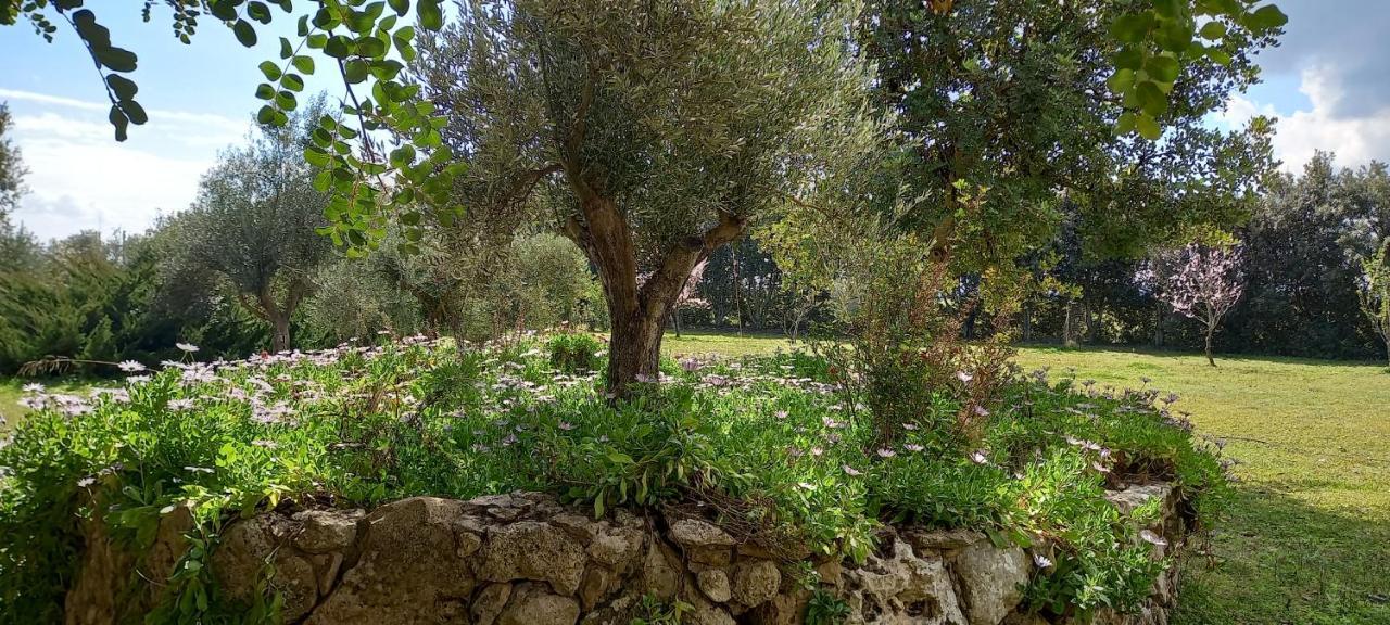 Agriturismo Bachile Bertula Villa Riola Sardo Ngoại thất bức ảnh