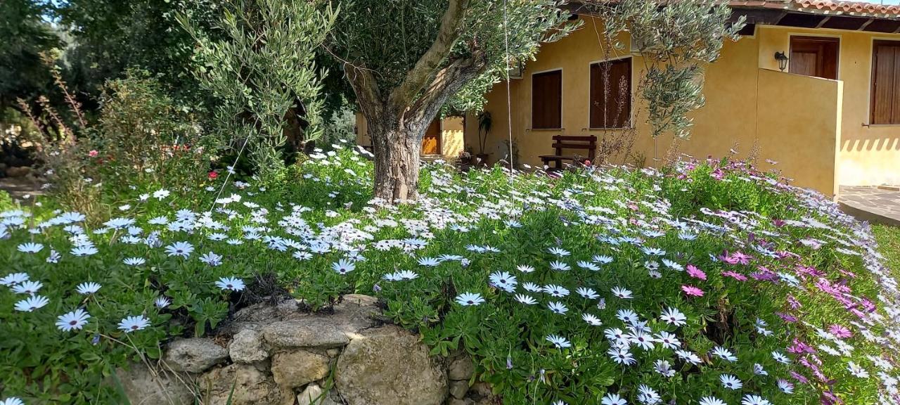 Agriturismo Bachile Bertula Villa Riola Sardo Ngoại thất bức ảnh